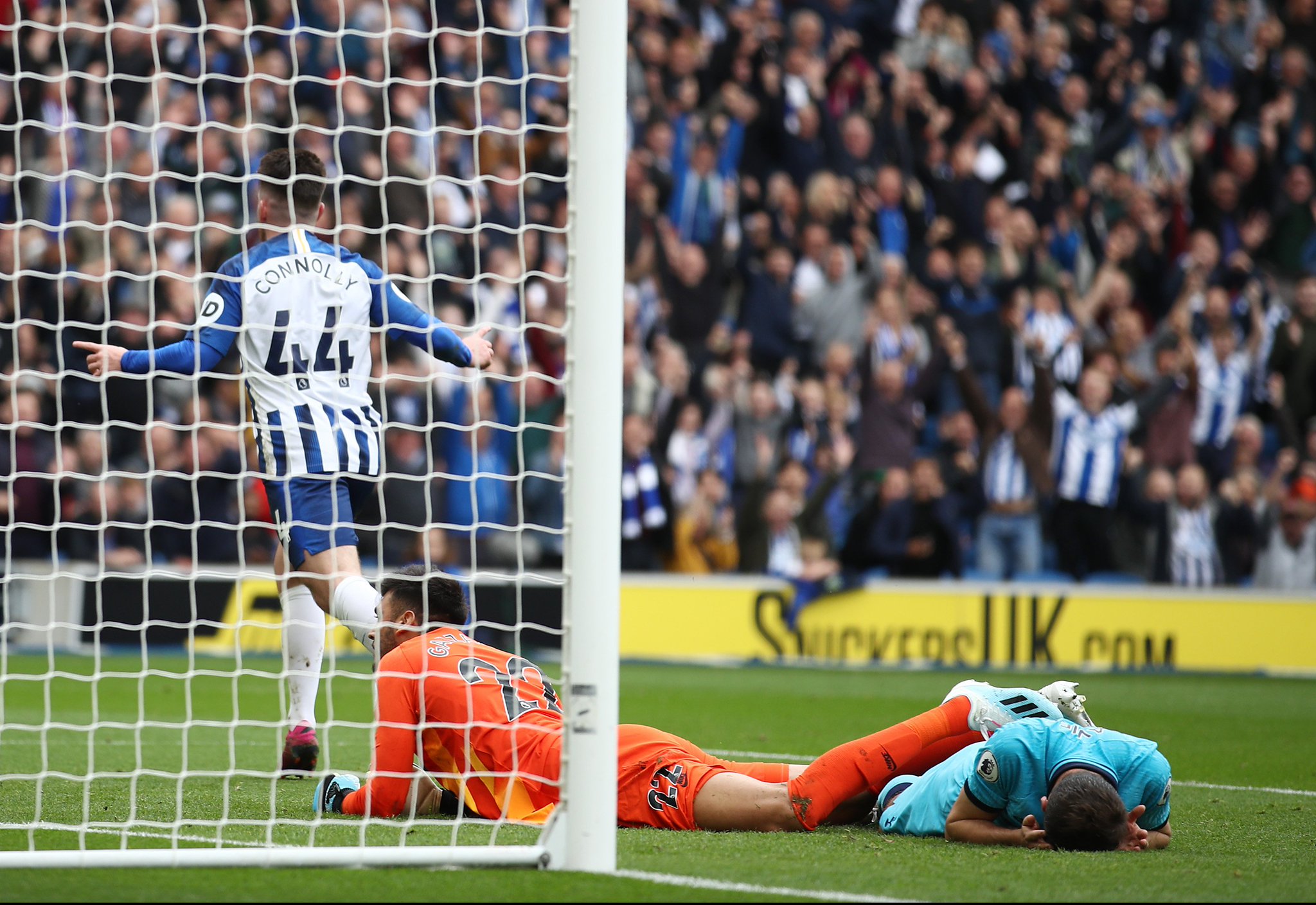 挥了不可或 挥了不可或