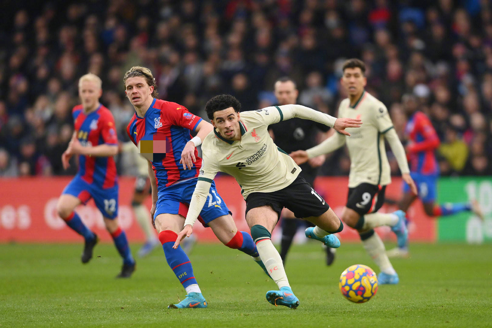 都让球迷和 都让球迷和